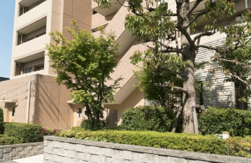 イメージ画像